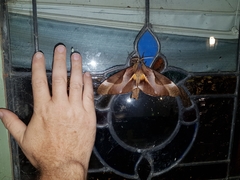 Coequosa triangularis