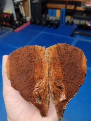 Pyrofomes juniperinus