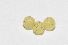 Opsiphanes cassina chiriquensis