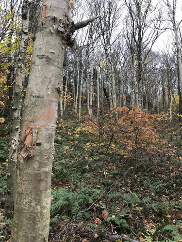 Jerusalem Trail