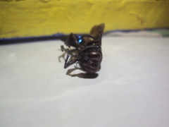 Stangeella cyaniventris