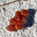 Hygrocybe andersonii - Photo (c) Kiara,  זכויות יוצרים חלקיות (CC BY-NC)