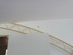 Hexatricha pulverulenta