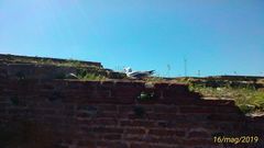 Larus