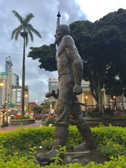 Arecaceae