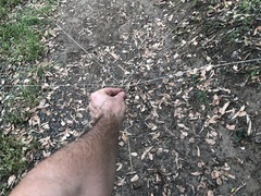 Digitaria divaricatissima