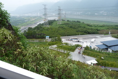 Prunus persica nucipersica