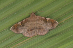 Azeta