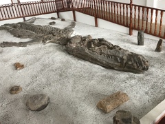 Kronosaurus boyacensis