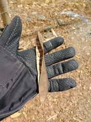 Pseudosamanea guachapele