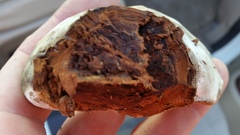Ganoderma martinicense