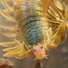 Polychaete Worms - Photo no rights reserved, uploaded by Alex Heyman