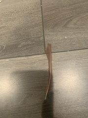 Cardinalis cardinalis