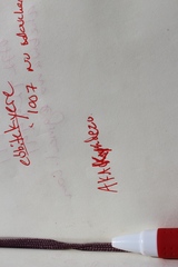 Senecio bipinnatisectus