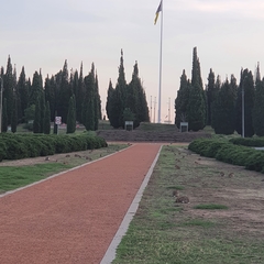 Oryctolagus cuniculus