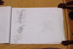 Amaranthus
