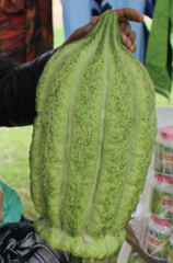 Telfairia pedata