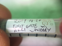 Armigeres subalbatus