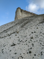 Seseli dichotomum