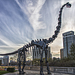 Sauropods - Photo (c) Patrick Emerson, some rights reserved (CC BY-ND)