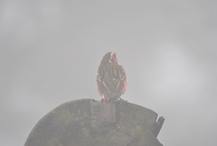 Carpodacus dubius