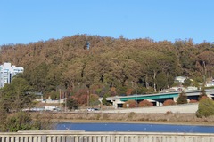Pseudosydowia eucalypti