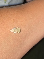 Tonica