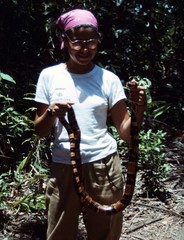 Hydrodynastes bicinctus