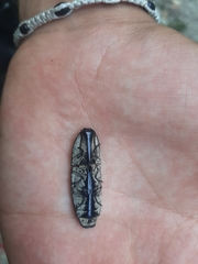 Chalcolepidius erythroloma