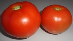 Solanum lycopersicum cerasiforme