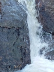 Characidium pterostictum