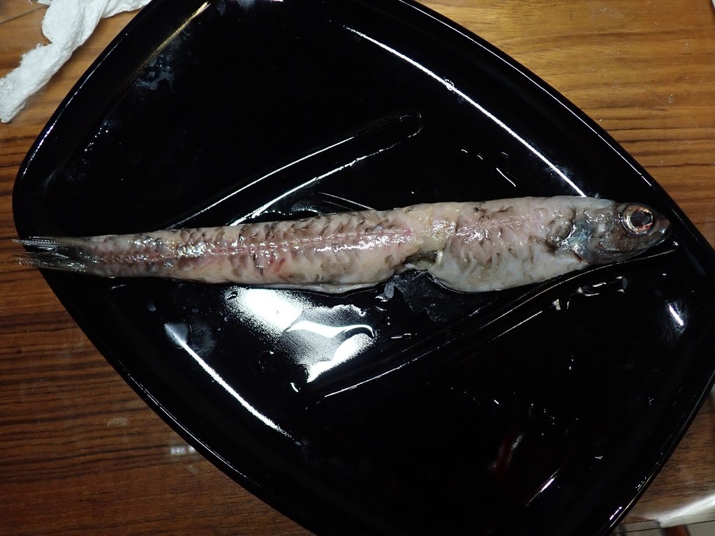 White Pencilsmelt