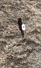 Characidium pterostictum