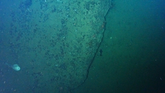 Psychrolutes phrictus