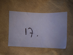 Plagiothecium laetum