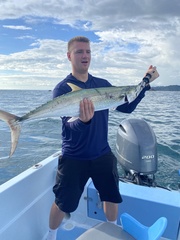 Scomberomorus sierra