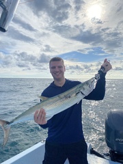 Scomberomorus sierra