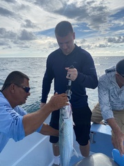 Scomberomorus sierra