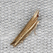 Eutorna leptographa - Photo (c) Matt Campbell, some rights reserved (CC BY-NC), uploaded by Matt Campbell