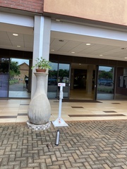 Coturnix delegorguei