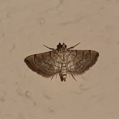 Salbia