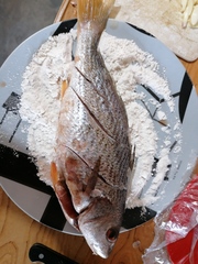 Umbrina