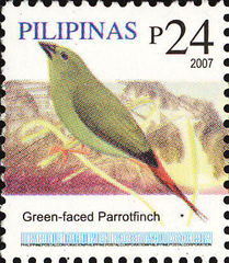 Green-Faced Parrotfinch photo 5