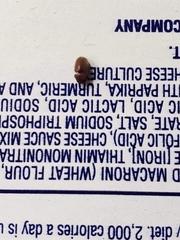 Stegobium