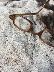 Coccotrema maritimum