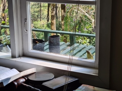 Zosterornis whiteheadi