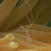 Pederson Cleaner Shrimp - Photo (c) LASZLO ILYES, some rights reserved (CC BY)