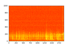 Tadarida brasiliensis