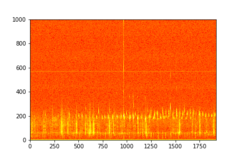 Tadarida brasiliensis
