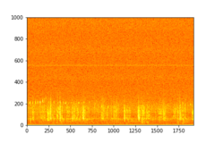 Tadarida brasiliensis